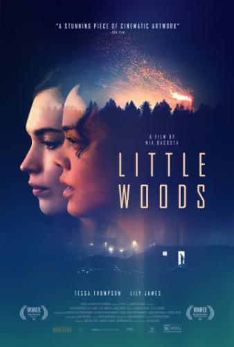  / Little Woods (2018)