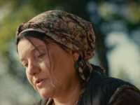 ��� ������� � ���� �����